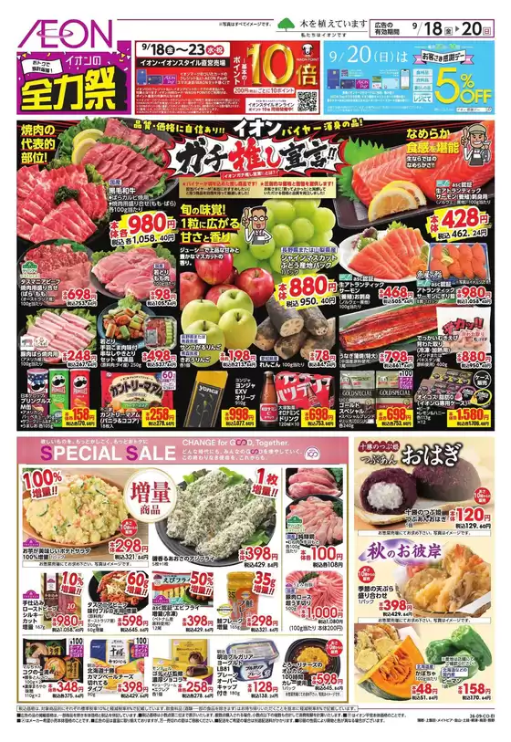 main_flyer image