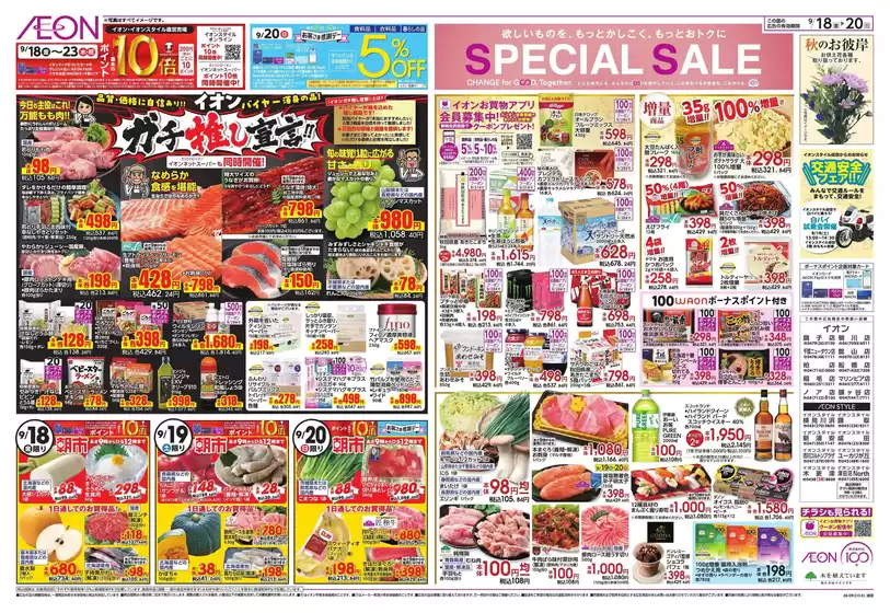 main_flyer image