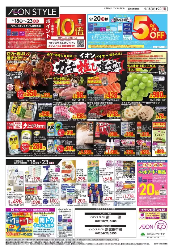 main_flyer image
