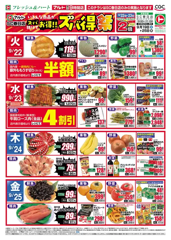 main_flyer image
