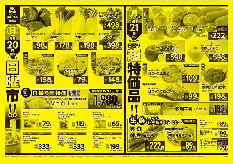 main_flyer image