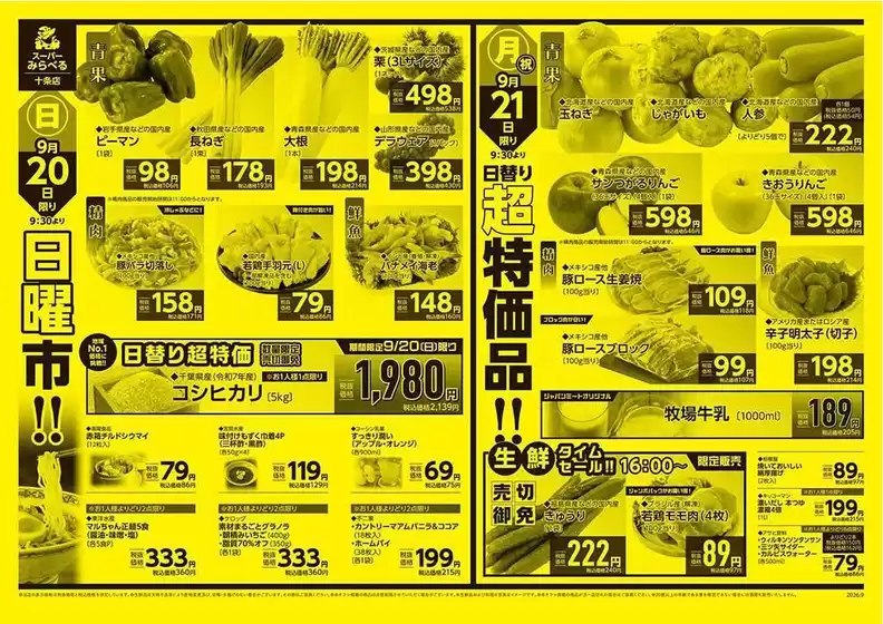 main_flyer image