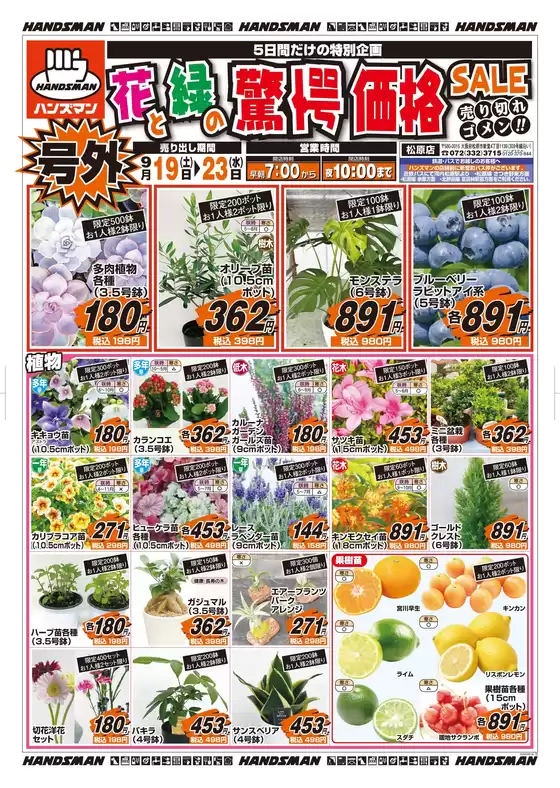 ハンズマンのカタログ | 【号外】花と緑の驚愕価格SALE | 2026-09-18T00:00:00.000Z - 2026-09-23T00:00:00.000Z