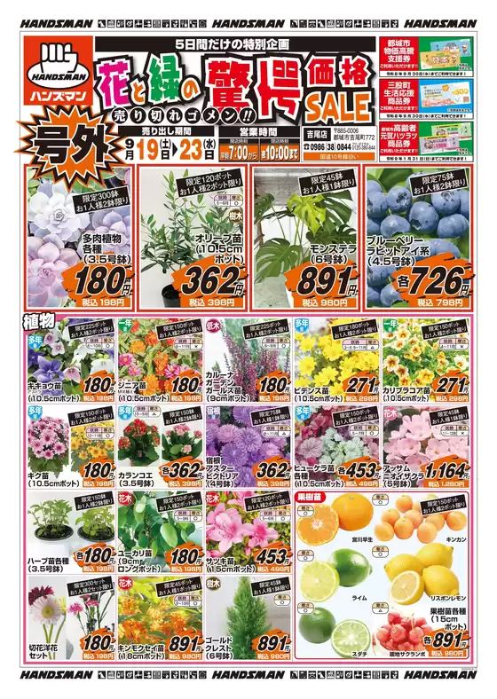 ハンズマンのカタログ | トップディールと割引 | 2026-09-18T00:00:00.000Z - 2026-09-23T00:00:00.000Z