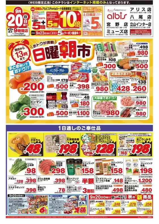 アルビスのカタログ | 掘り出し物ハンターのためのオファー | 2026-09-20T00:00:00.000Z - 2026-09-20T00:00:00.000Z