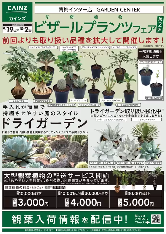 カインズホームのカタログ | ビザールプランツ珍奇植物フェア第2弾 919号 | 2026-09-18T00:00:00.000Z - 2026-10-02T00:00:00.000Z
