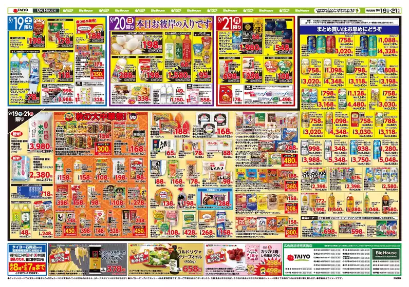 main_flyer image