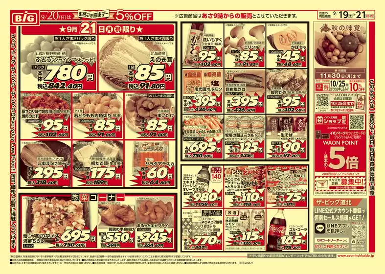 main_flyer image