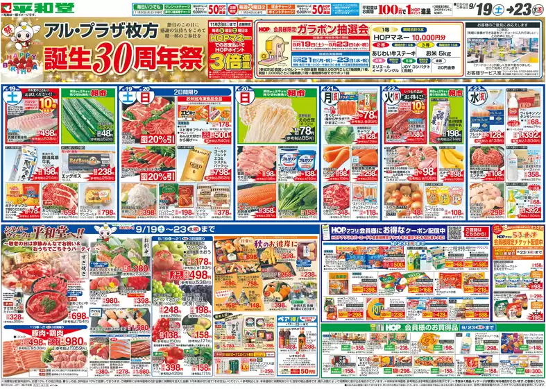 main_flyer image
