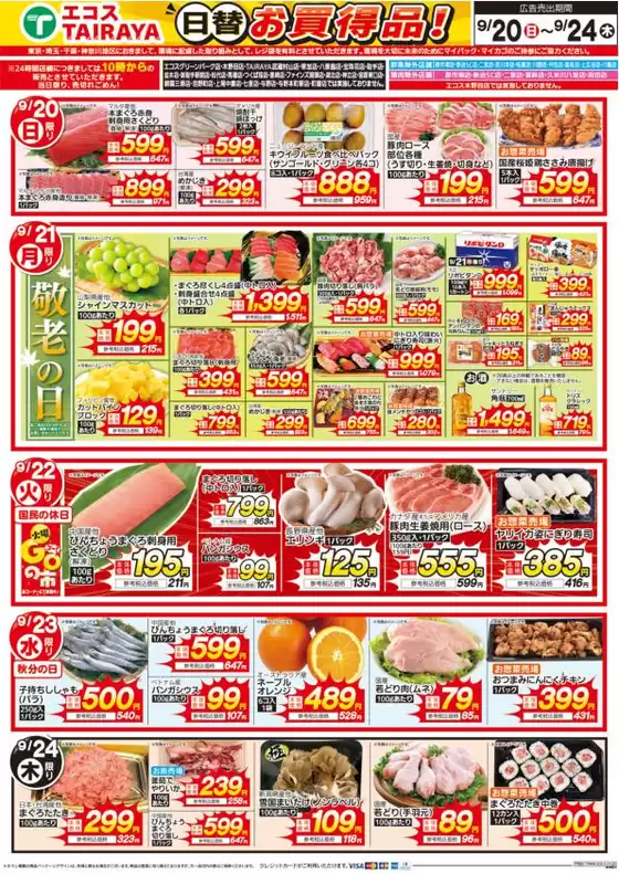 main_flyer image