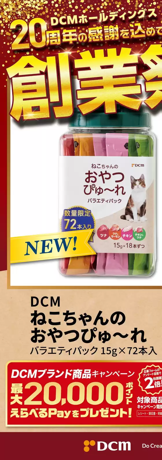 main_flyer image