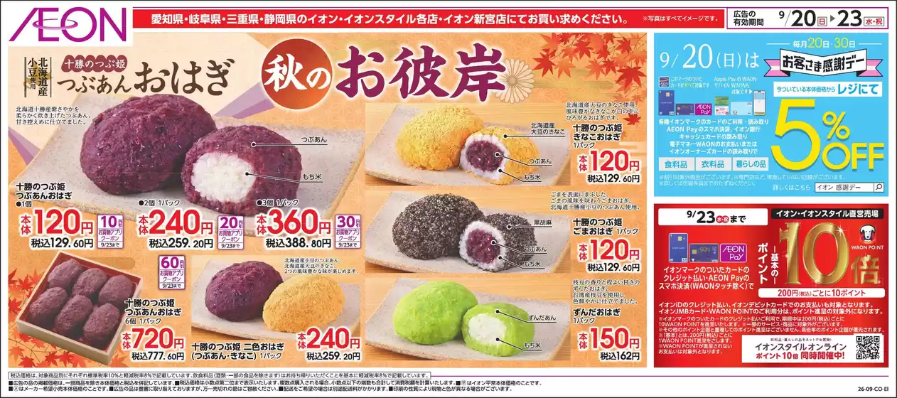main_flyer image