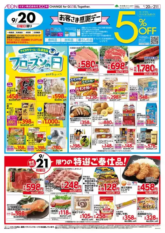 main_flyer image