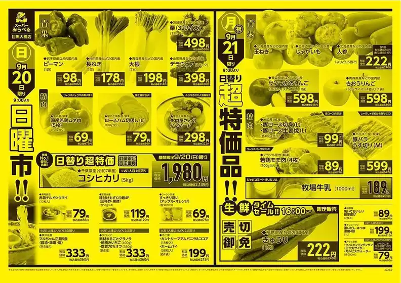 main_flyer image