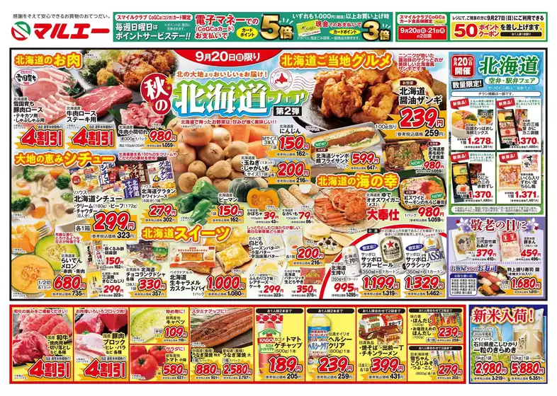 main_flyer image
