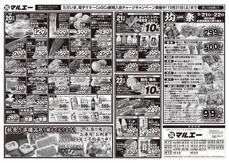 main_flyer image