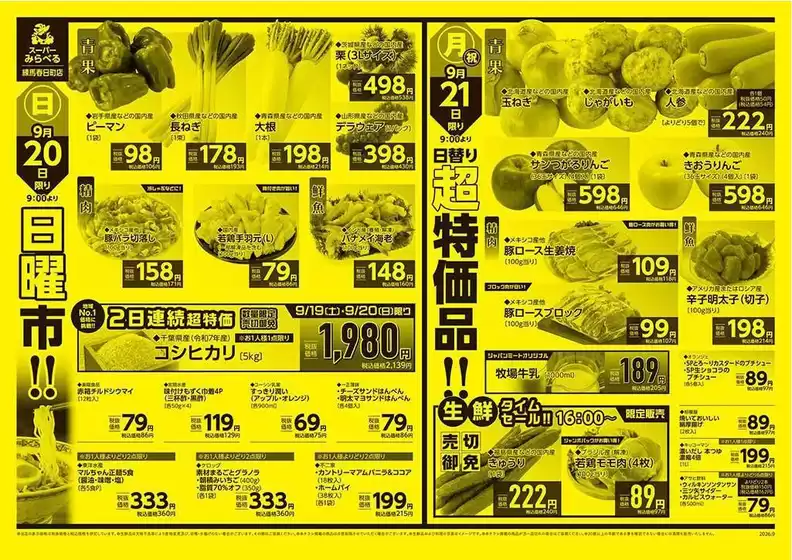 main_flyer image