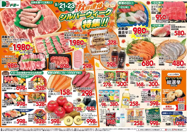 main_flyer image