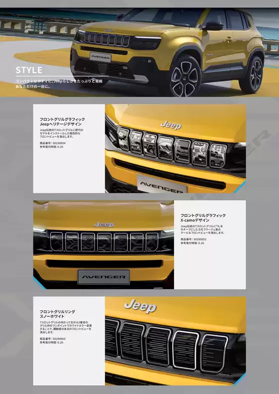 main_flyer image