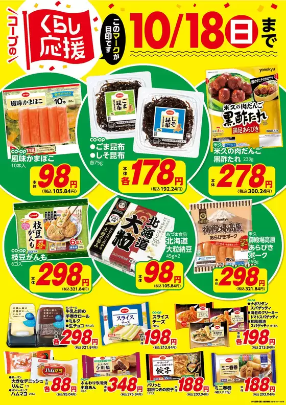 main_flyer image