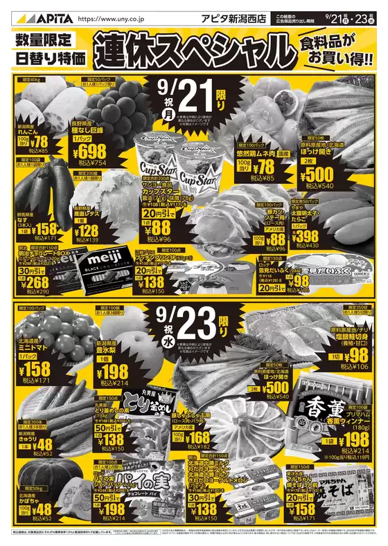 main_flyer image