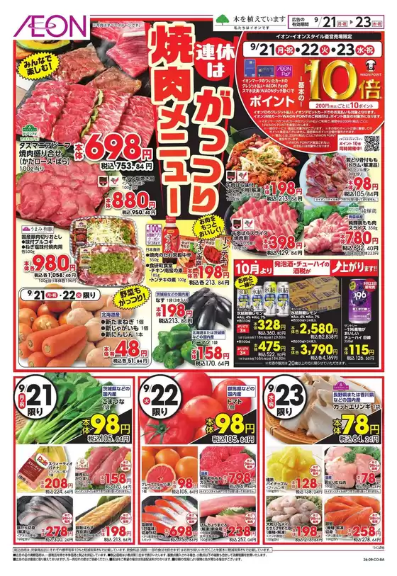 main_flyer image