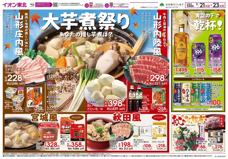 main_flyer image