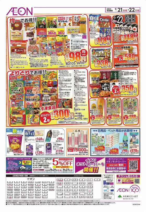 main_flyer image