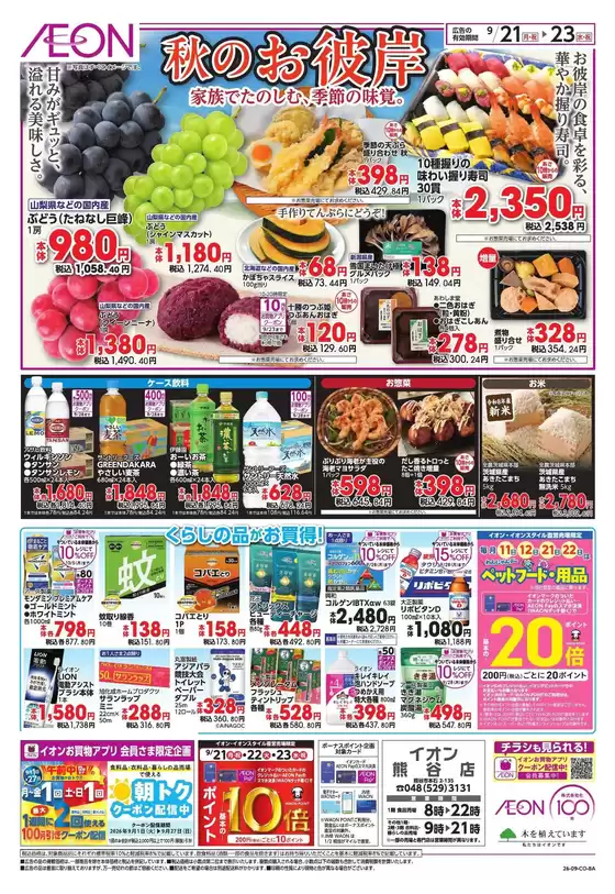 main_flyer image