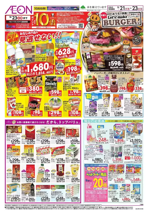 main_flyer image