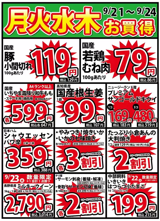 main_flyer image