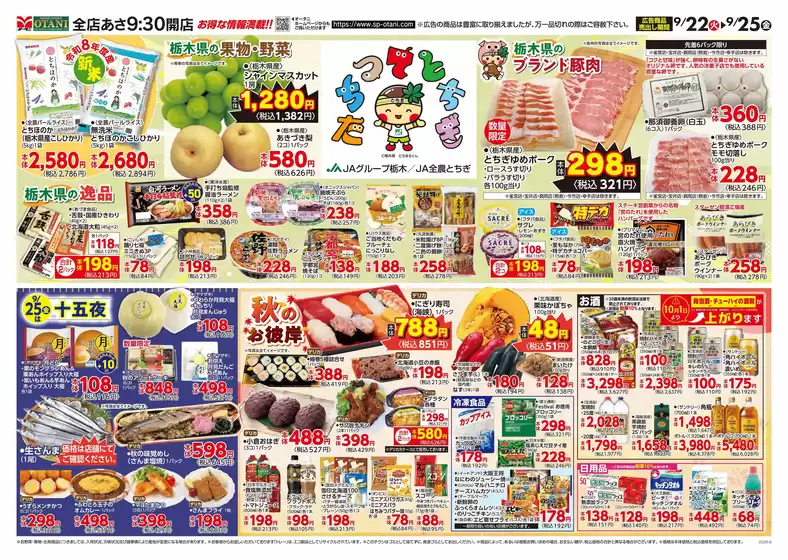 main_flyer image