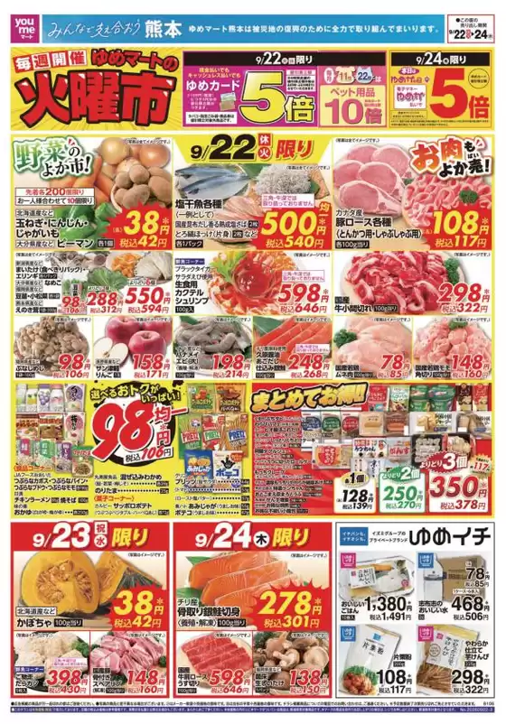 main_flyer image