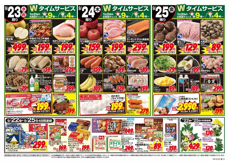 main_flyer image