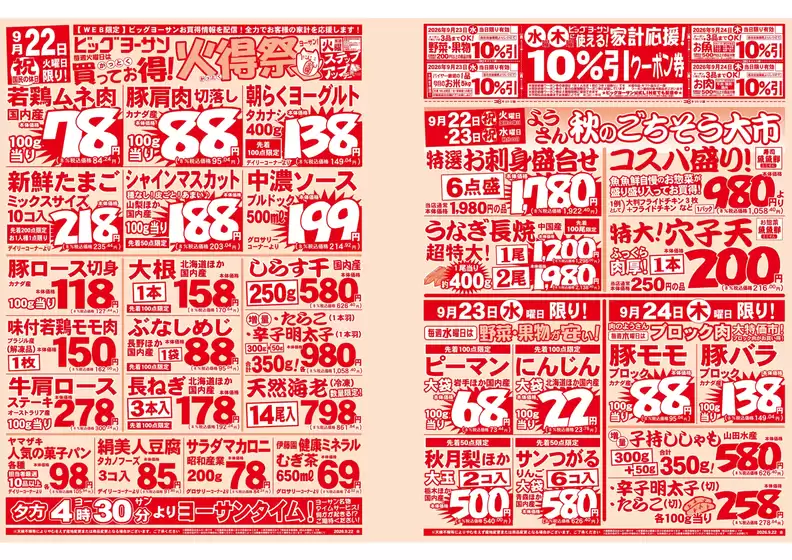 ビッグヨーサンのカタログ | ビッグヨーサン チラシ | 2026-09-22T00:00:00.000Z - 2026-09-24T00:00:00.000Z
