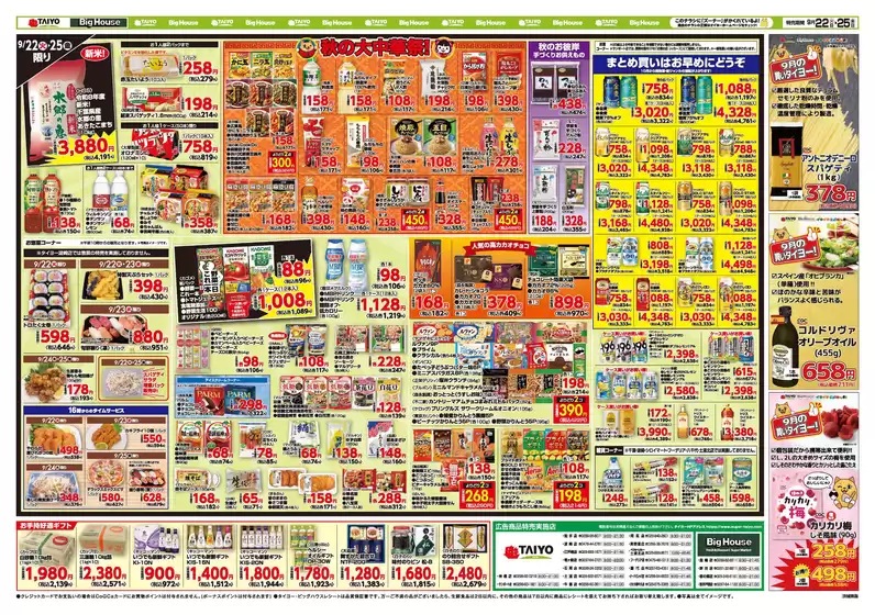 main_flyer image