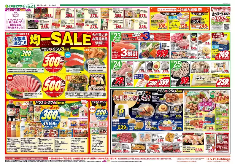 main_flyer image