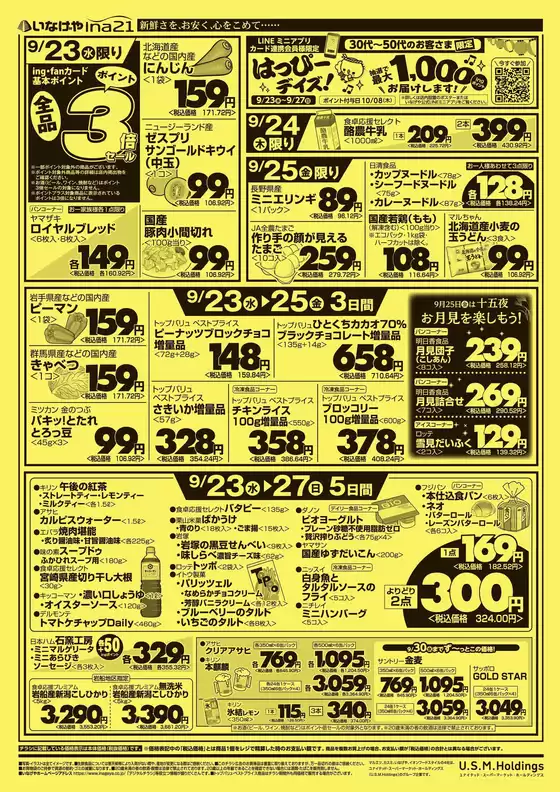 main_flyer image