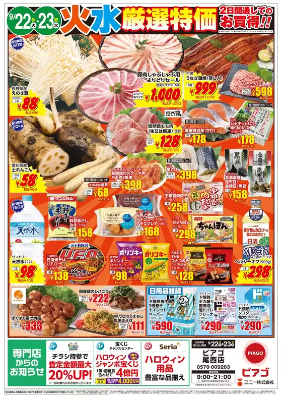 main_flyer image
