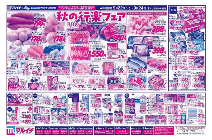 main_flyer image