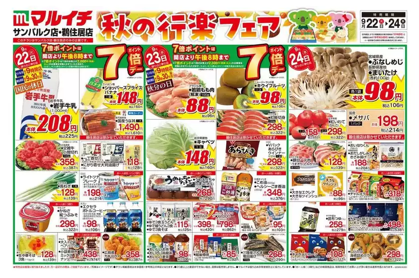 マルイチのカタログ | 掘り出し物ハンターのためのオファー | 2026-09-22T00:00:00.000Z - 2026-09-24T00:00:00.000Z