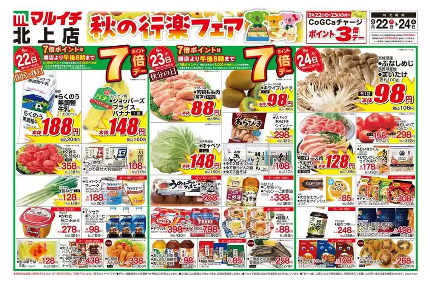 マルイチのカタログ | あなたのための私たちの最高の取引 | 2026-09-22T00:00:00.000Z - 2026-09-24T00:00:00.000Z