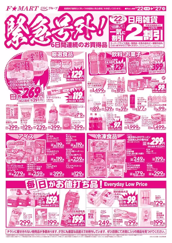 main_flyer image