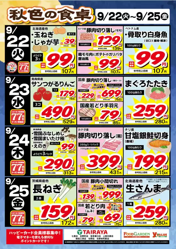 main_flyer image