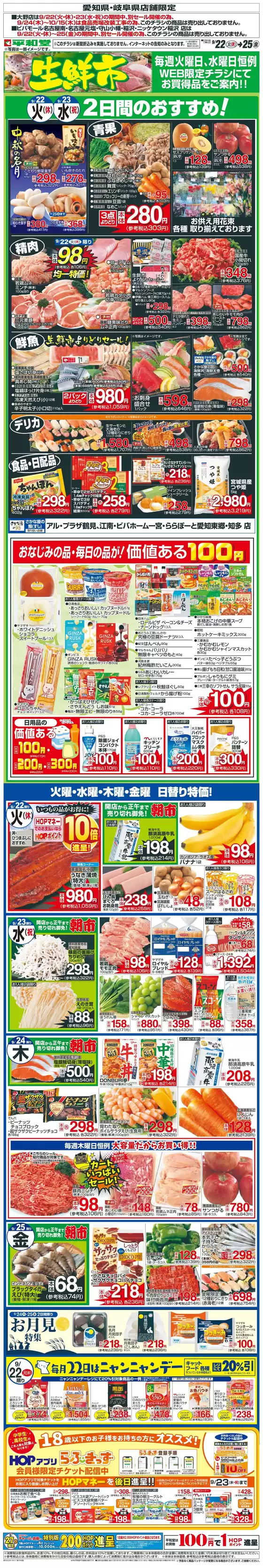 main_flyer image