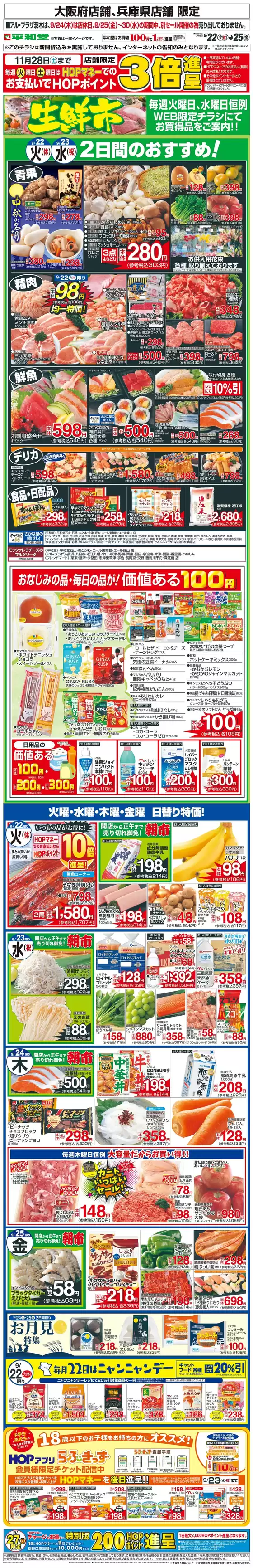 main_flyer image
