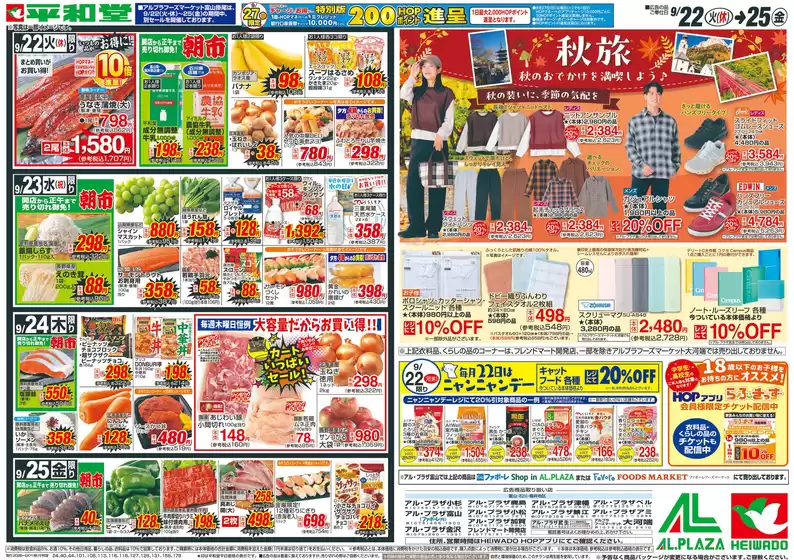 main_flyer image