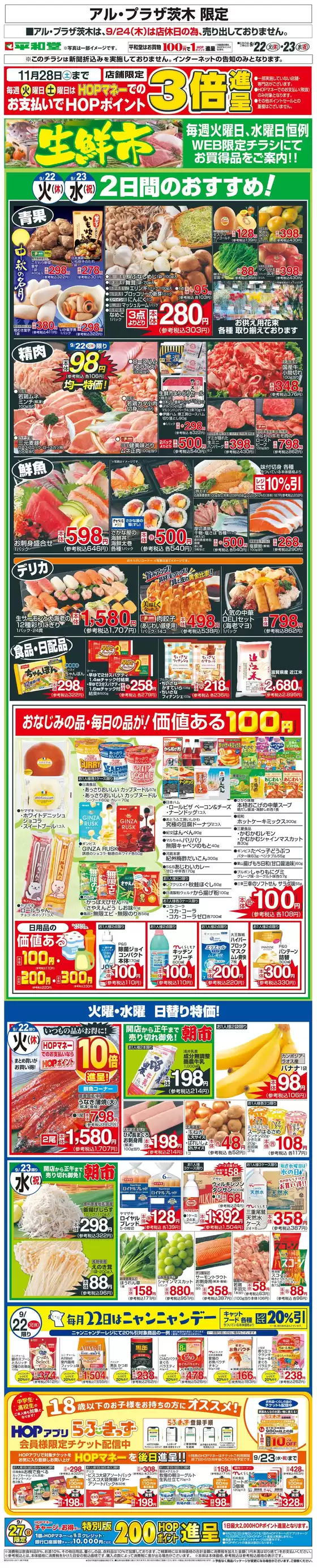main_flyer image