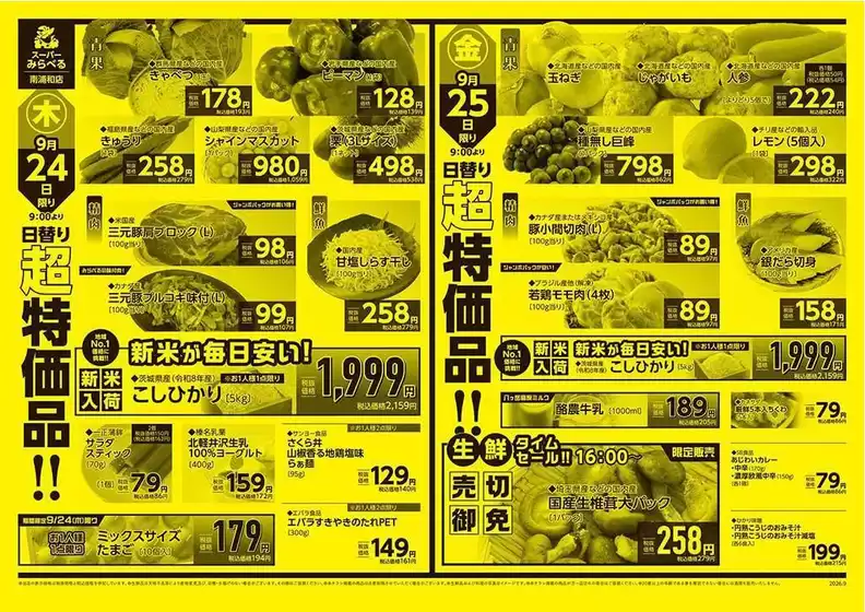 main_flyer image