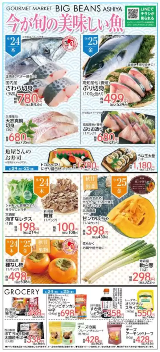 ビッグビーンズのカタログ | 芦屋店 | 2026-09-24T00:00:00.000Z - 2026-09-25T00:00:00.000Z